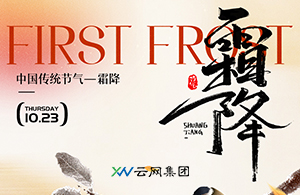 濕冷開局，鄭州人的霜降指南